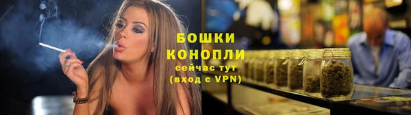 PSILOCYBIN Белокуриха