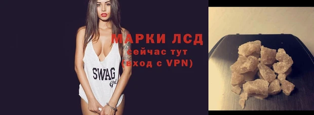 PSILOCYBIN Белокуриха