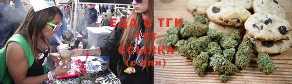 PSILOCYBIN Белокуриха